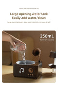 Raindrop Humidifier & Aroma Diffuser – 250ml Rotating Music Box with LED Light