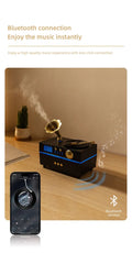 Retro Phonograph Aroma Diffuser USB Humidifier 160ml