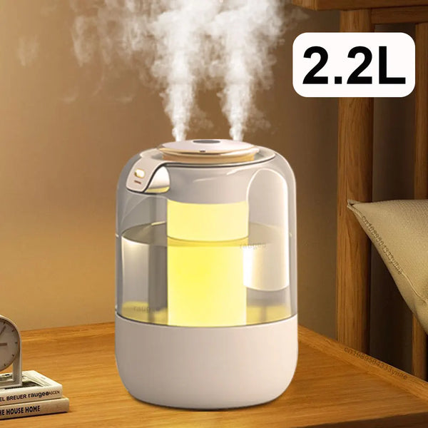 Large-Capacity Dual Nozzle Humidifier