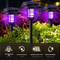 2-in-1 Solar Bug Zapper & Pathway Light – Waterproof Mosquito Killer for Garden & Patio