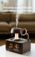 Raindrop Humidifier & Aroma Diffuser – 250ml Rotating Music Box with LED Light